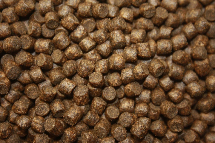 Tomodachi Herbstfutter für Koi Koifutter für den Herbst, langsam sinkend und energiereich, 10kg