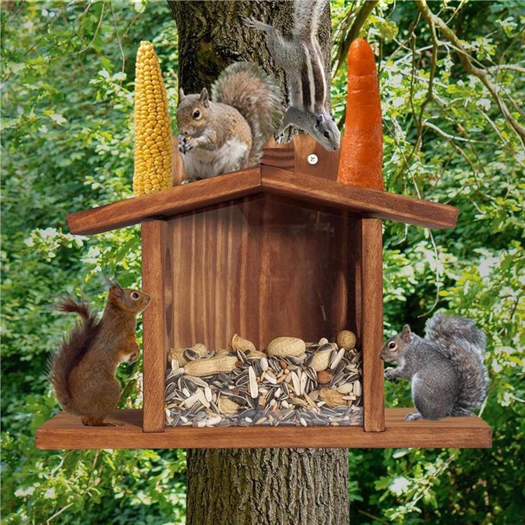 Eichhörnchen-Futterspender Futterhaus für Nagetiere und Vögel | Eichhörnchen Futterbox for Garden, Y