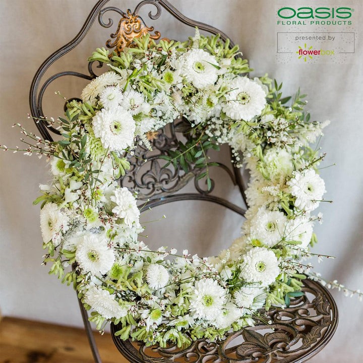 Flowerbox Oasis Steckschaum IDEAL Universal Ring Ø27cm Steckmasse Steckschwamm - 3 Stück