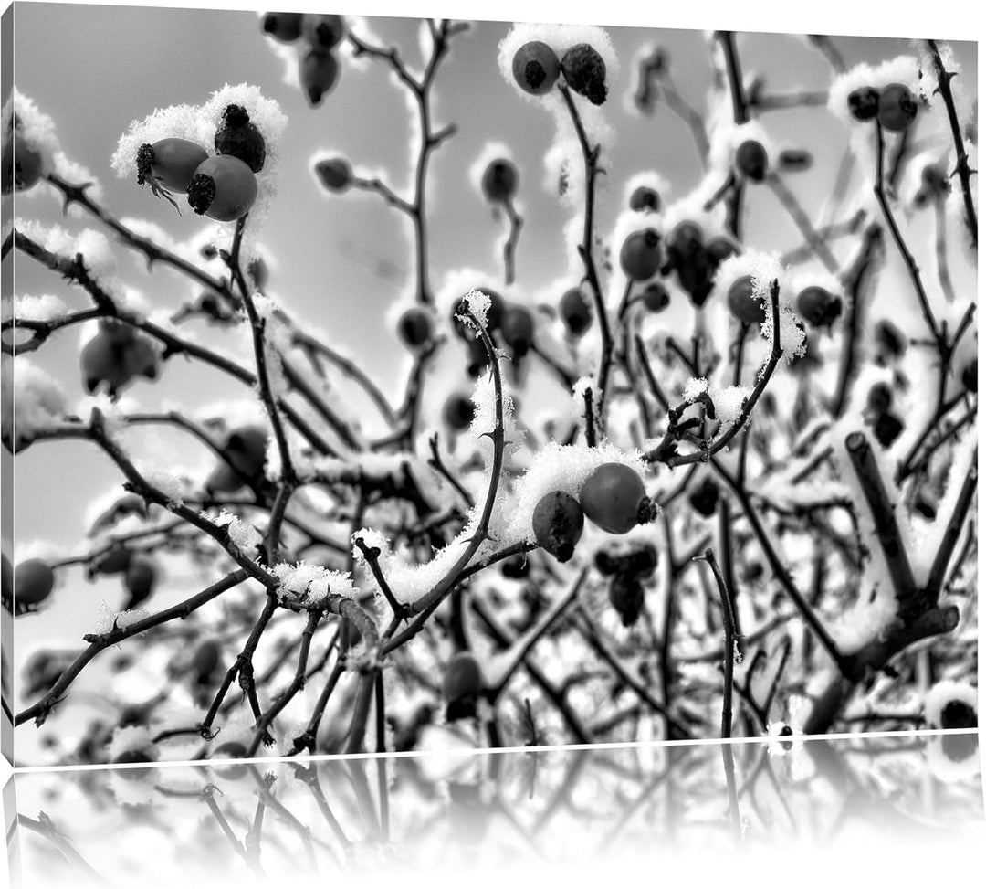 Pixxprint Hagebuttenstrauch mit / 100x70cm Leinwandbild bespannt auf Holzrahmen/Wandbild Kunstdruck