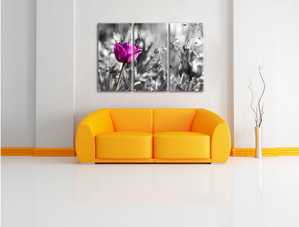 Pixxprint Blumen im Sonnenschein B&W Detail 3-Teiler Leinwandbild 120x80 Bild auf Leinwand