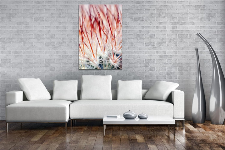 deyoli Nadeln eines Kaktus Format: 80x60 als Leinwand, Motiv fertig gerahmt auf Echtholzrahmen, Hoch