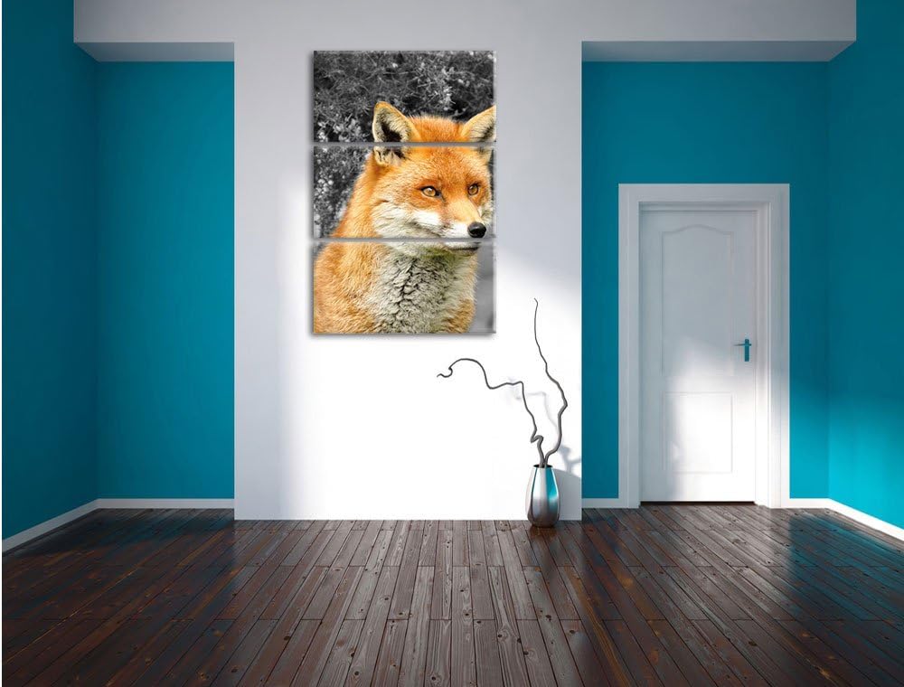 Pixxprint stolzer Fuchs im Geäst als Leinwandbild/Grösse: 3 Teilig (120x80) / Wandbild/Kunstdruck/fe