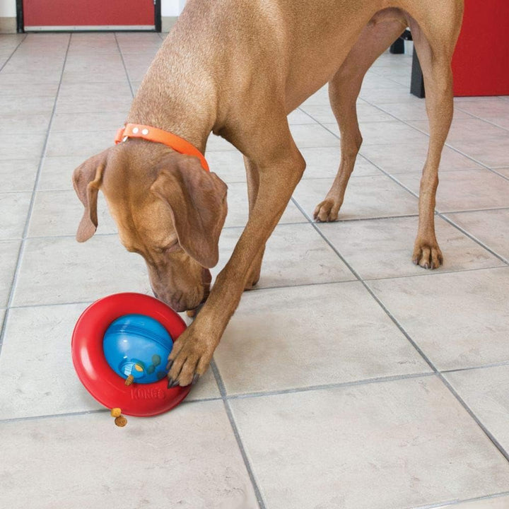 KONG Gyro - Interaktives Hundespielzeug mit Leckerlispender - Slow Feeder für Gesundes Fressen - Für