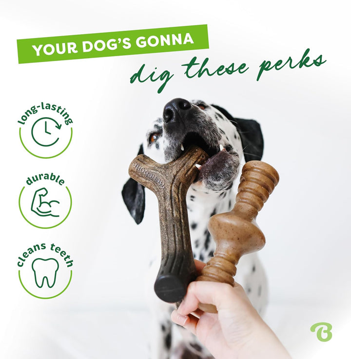 Benebone 2-Pack Indestructible Maplestick/Zaggler for Aggressive Chewers, Long Lasting Tough Boredom