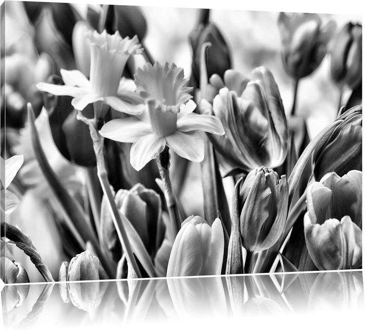 Pixxprint Osterglocken und Tulpen als Leinwandbild/Grösse: 100x70 cm/Wandbild/Kunstdruck/fertig besp