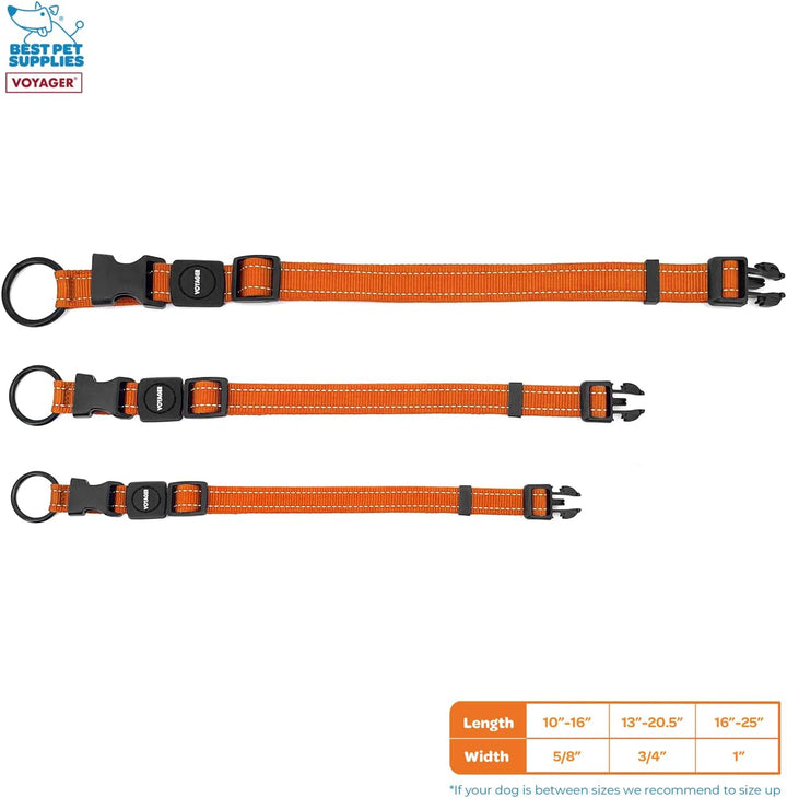 Best Pet Supplies Reflektierendes Hundehalsband mit Verstellbarer Länge, robuste Schnalle und starke