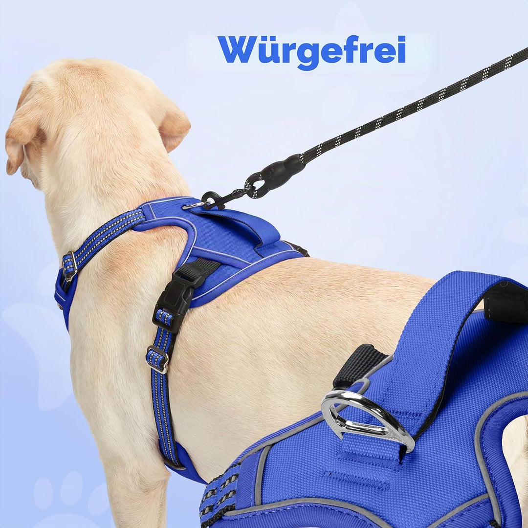 Funfox Hundegeschirr Mittelgrosse Hunde [M] - Verstellbares Anti-Zug Brustgeschirr mit Griff & Refle
