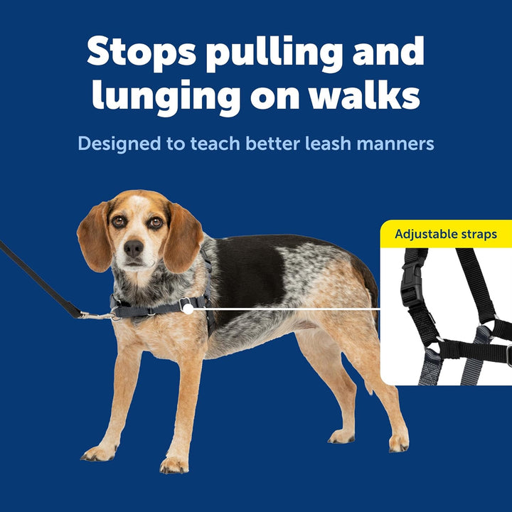 PetSafe Easy Walk Hundegeschirr, kein Ziehen, das ultimative Geschirr, um das Ziehen zu stoppen, übe
