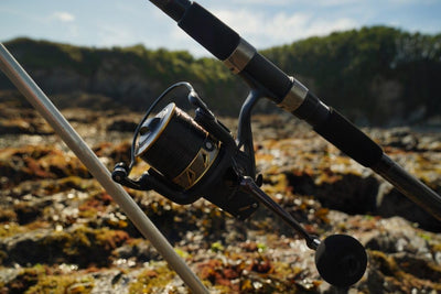 PENN Battle III Weitwurfrolle – Weitwurf-Salzwasserrolle 7000 | Long Cast, 7000 | Long Cast