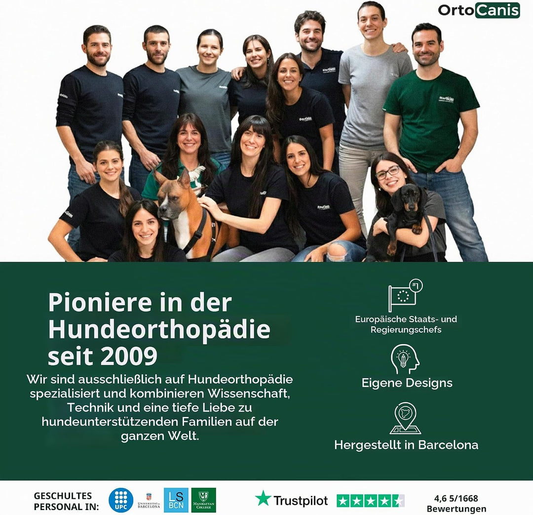Ortocanis - Hüftorthese für Hunde - Hüftdysplasie, Hüftschmerzen oder Lokalisierten Arthrose - Stabi