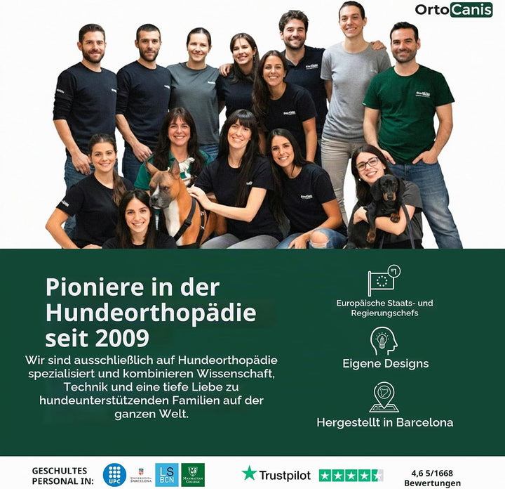Ortocanis - Hüftorthese für Hunde - Hüftdysplasie, Hüftschmerzen oder Lokalisierten Arthrose - Stabi