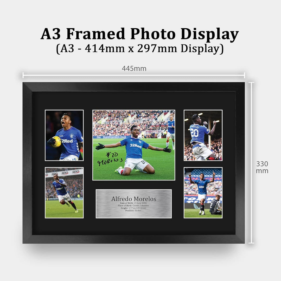 HWC Trading FR A3 Alfredo Morelos Rangers Geschenke Gedruckt, Signiert Autogramm Bild, Für Fussball-