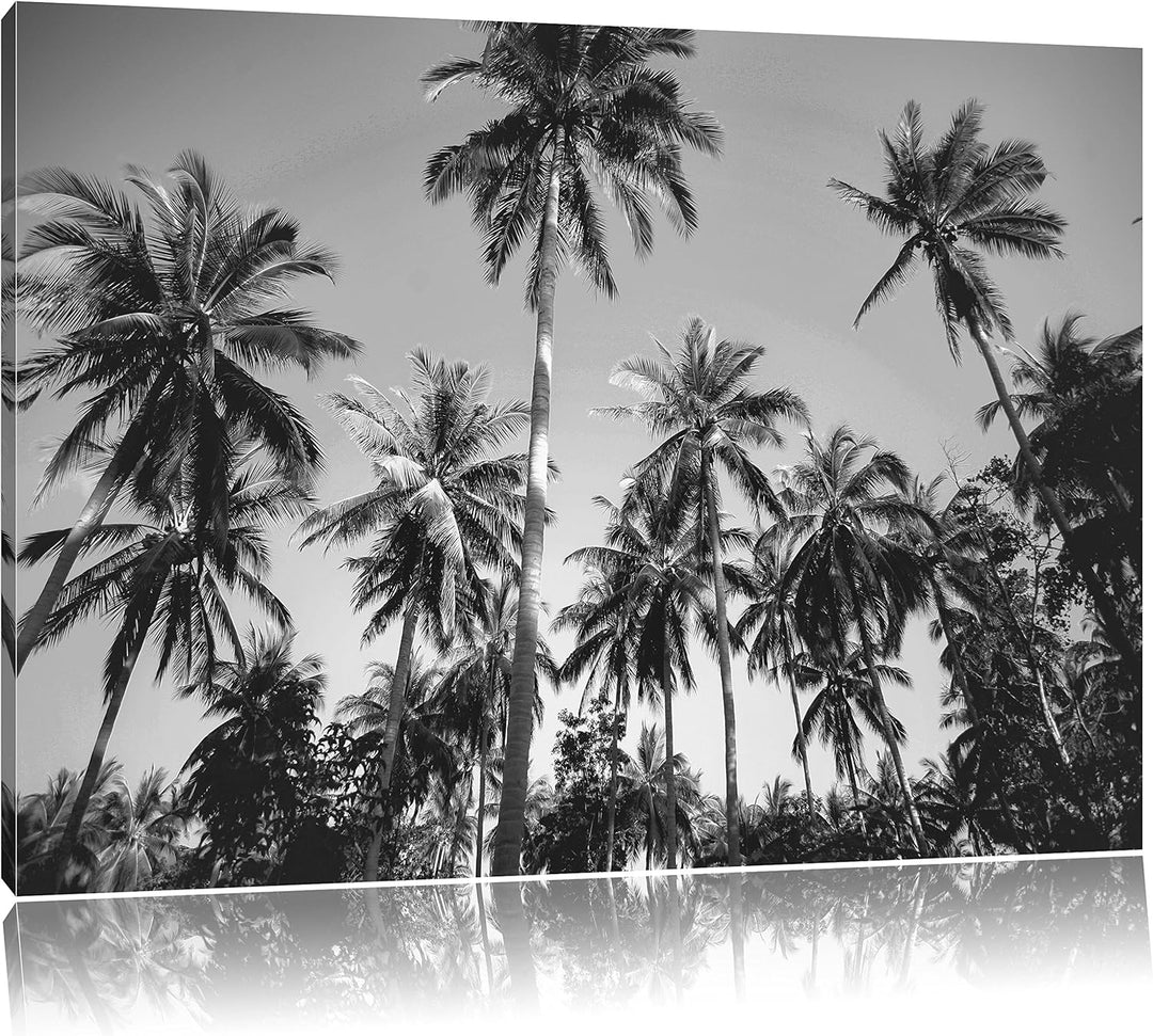 Pixxprint Tropische Palmen Kunst B&W / 100x70cm Leinwandbild bespannt auf Holzrahmen/Wandbild Kunstd