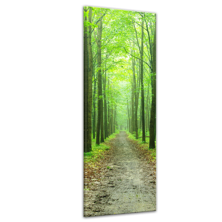Bilderdepot24 Bild auf Leinwand | Waldweg in 40x120 cm als Panorama Wandbild XXL | Wand-deko Dekorat