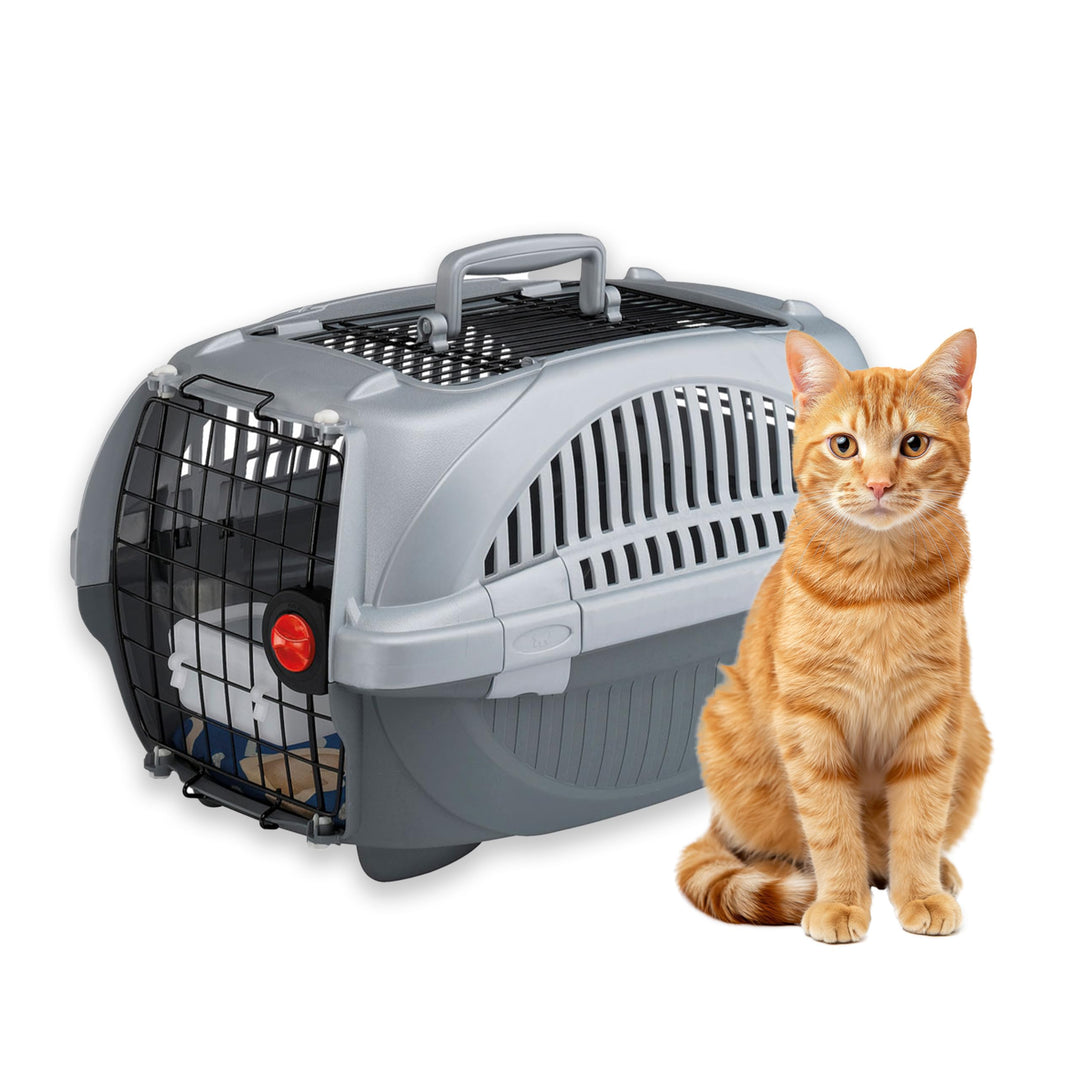 Ferplast Transportbox für Haustiere Hundebox für kleine Hunde und Katzen Atlas deluxe 20 Open, Trans