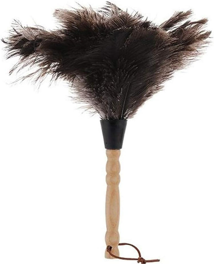 CULASIGN Staubwedel Strauss Bambusgriff Feder Staubwischer Strauss Natur Straussenfedern 32 cm (1#)