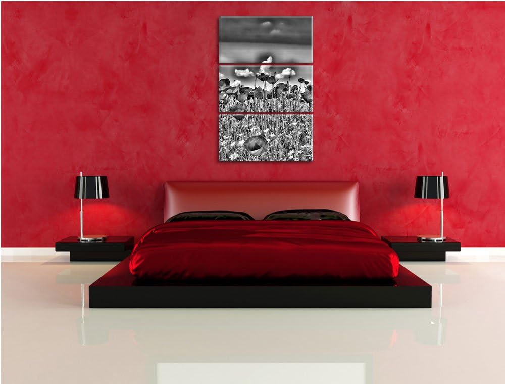 Pixxprint Mohnwiese als Leinwandbild/Grösse: 3 Teilig (120x80) cm/Wandbild/Kunstdruck/fertig bespann