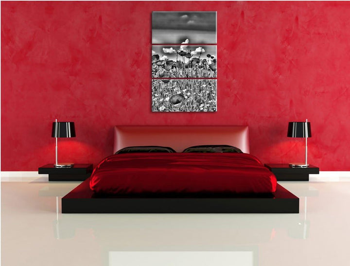 Pixxprint Mohnwiese als Leinwandbild/Grösse: 3 Teilig (120x80) cm/Wandbild/Kunstdruck/fertig bespann