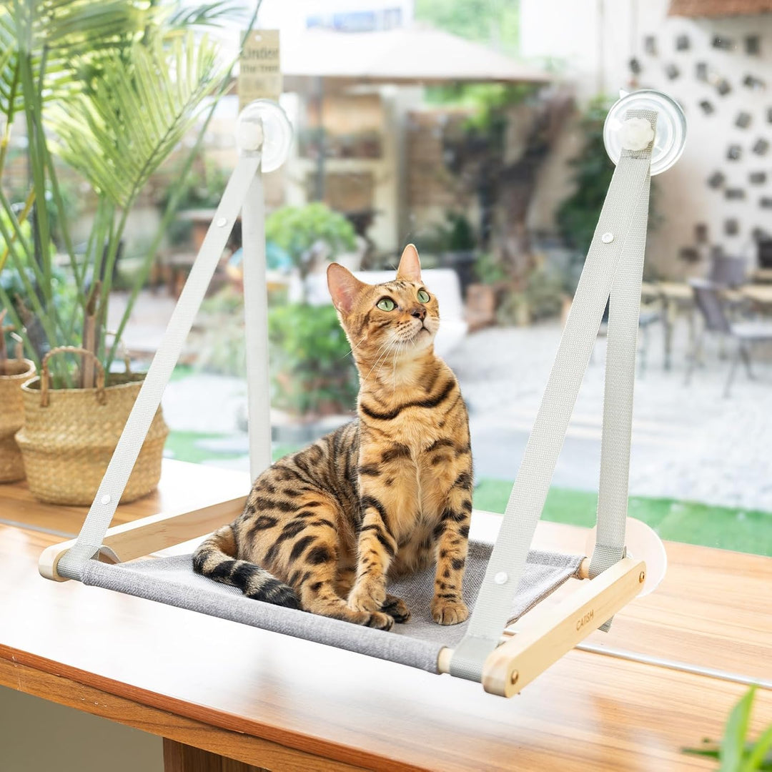 CATISM Faltbare Katzen Hängematte bis 20 kg, Verstärkte Katzen Hängematte mit Starkem Saugnapf, Wasc