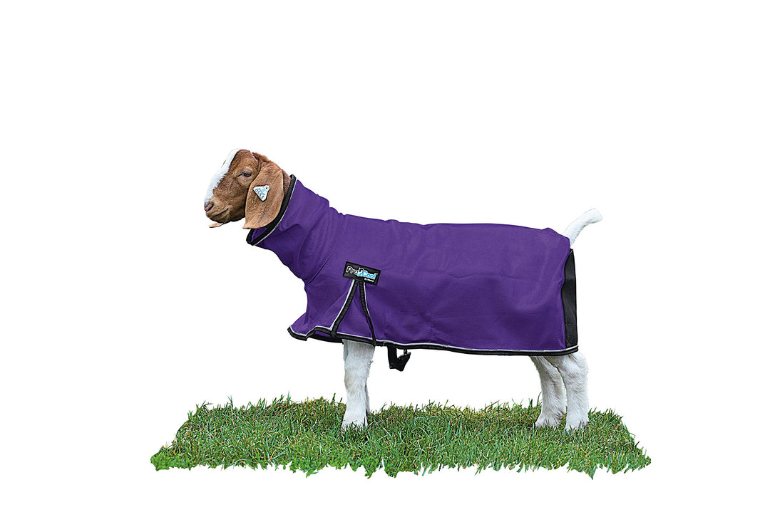 Weaver Livestock ProCool Ziegendecke Large violett, Large violett