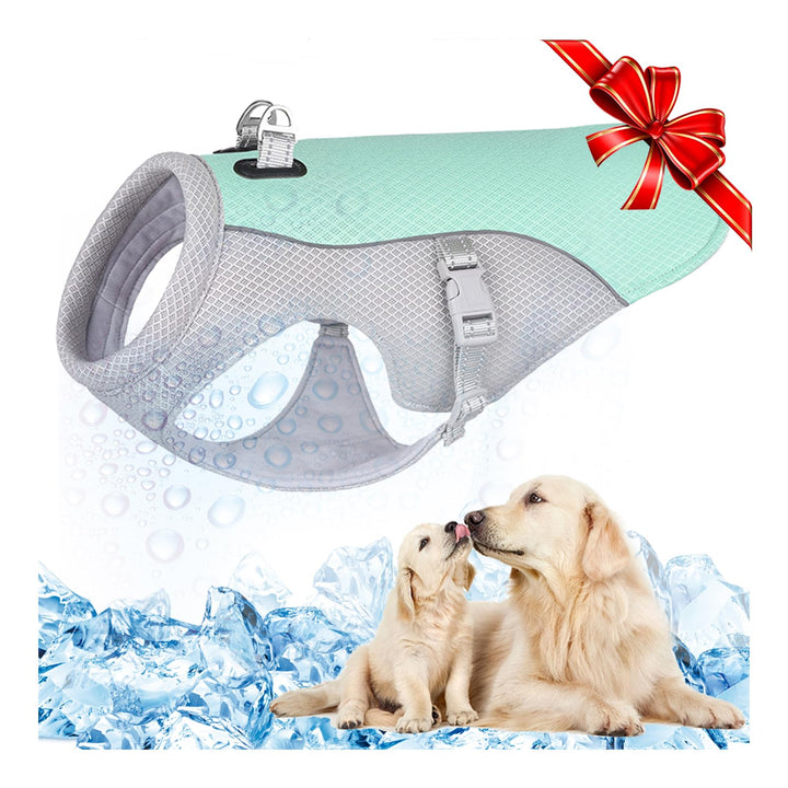 Hundekühlweste Atmungsaktives Mesh Hundejacke Sommer Cooler und Komfortabler Hundemantel Verstellbar