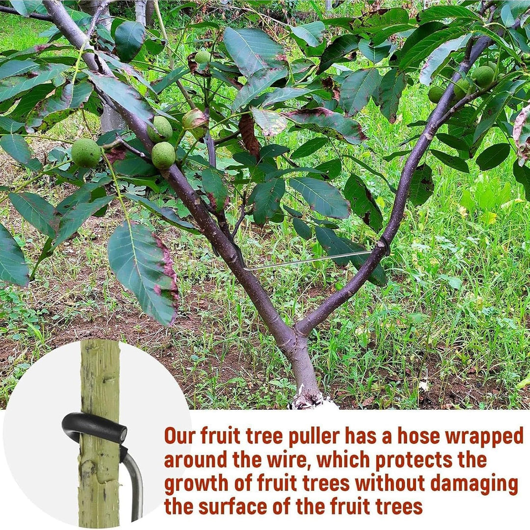 Astspreizer für Obstbäume | Metall-Stützspanner, wetterbeständig,Obstbaum Aststütze Und Astbieger -