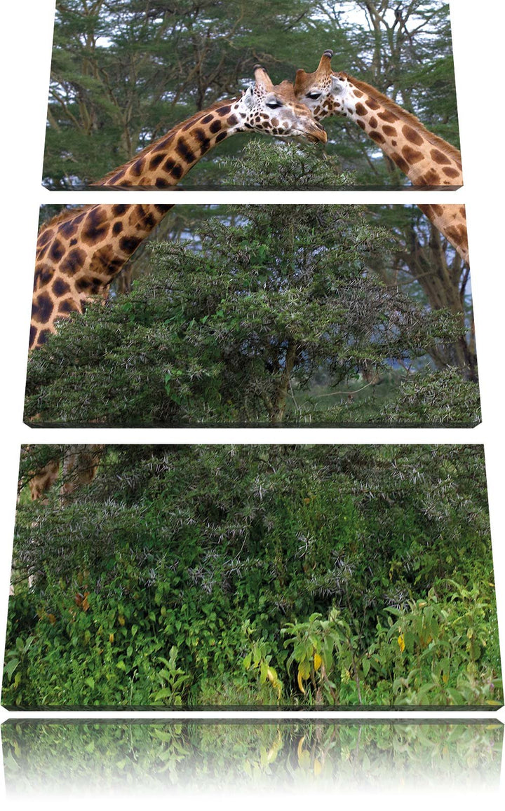 Pixxprint schönes Giraffenpaar in der Savanne 3-Teiler Leinwandbild 120x80 Bild auf Leinwand, riesig