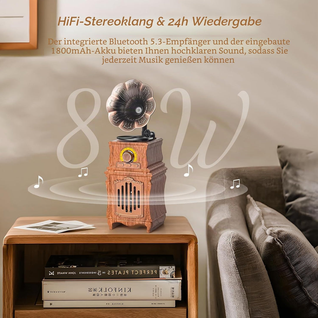COLSUR Retro Radio Bluetooth 5.3 Lautsprecher Tragbarer Vintage Lautsprecher mit AM FM Radio Wiedera