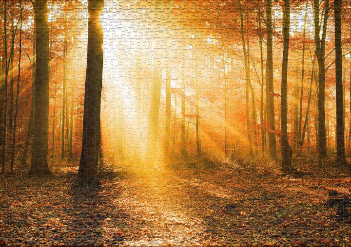Ulmer Puzzleschmiede „Goldener Herbstwald“ - Klassisches 1000 Teile Natur-Puzzle – poetische Herbsts