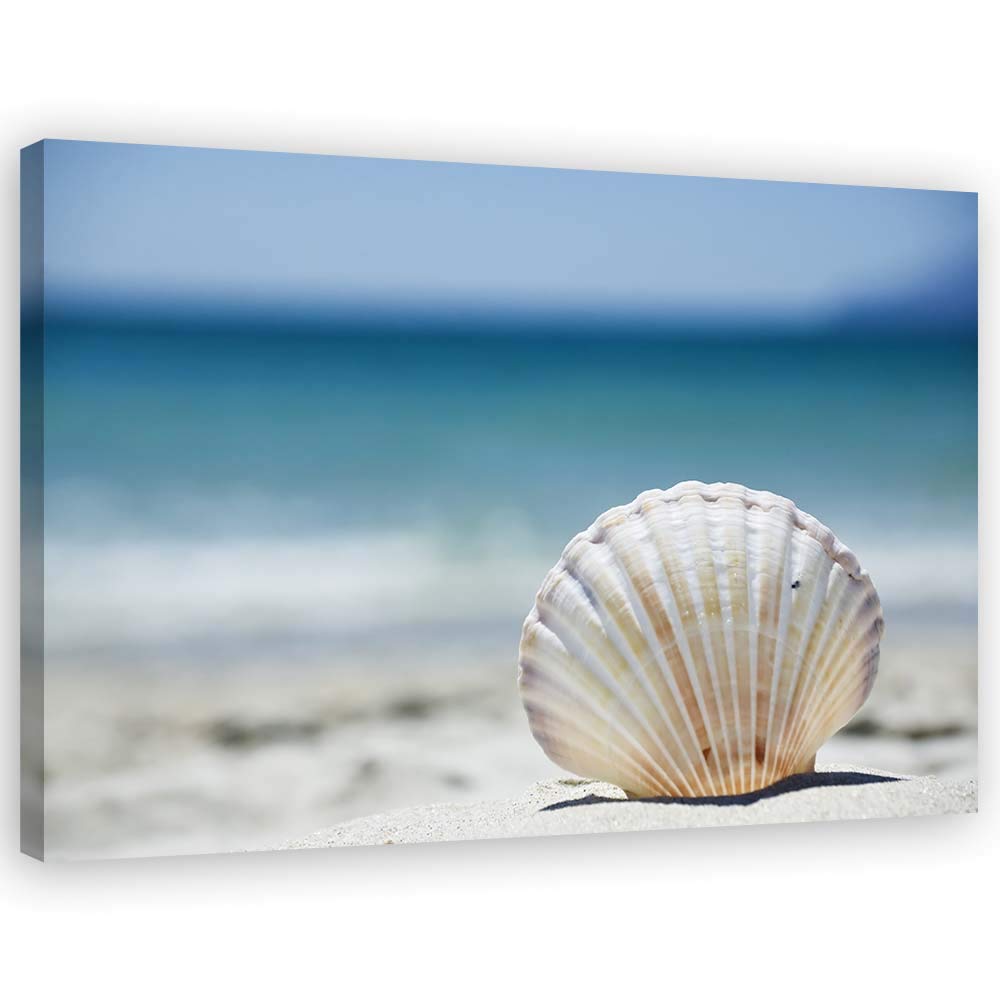 Feeby Bilder Wohnzimmer Muscheln Strand Meer XXL 90x60 cm 1Teilig Schlafzimmer Flur Wandbilder Leinw