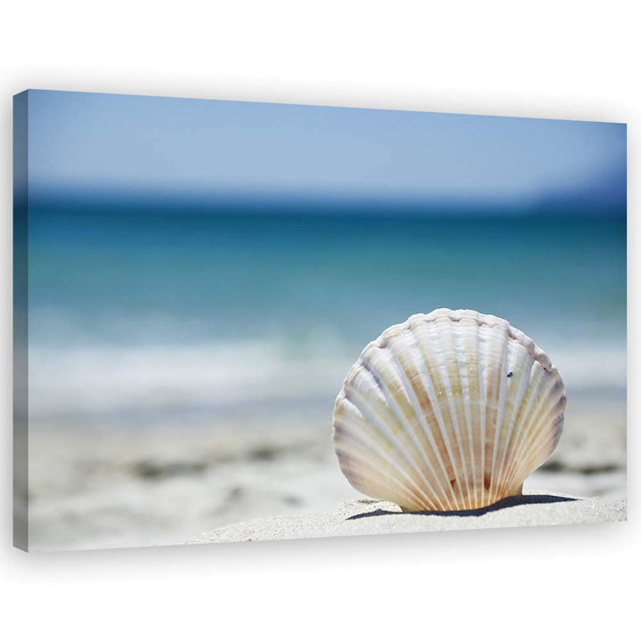 Feeby Bilder Wohnzimmer Muscheln Strand Meer XXL 90x60 cm 1Teilig Schlafzimmer Flur Wandbilder Leinw