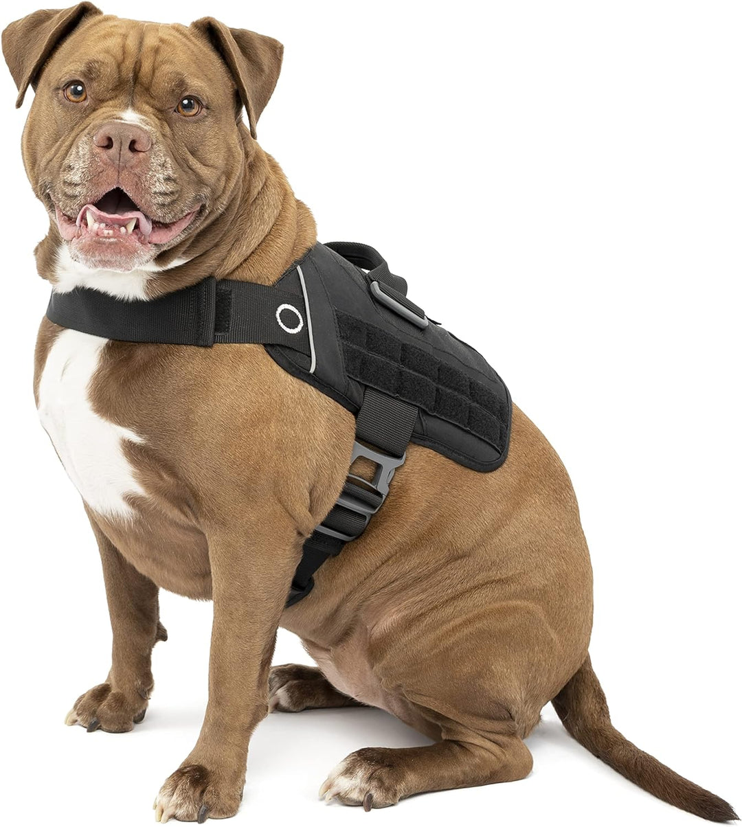 Kurgo RSG Townie Hundegeschirr, Einfaches Anlegen und Abnehmen, Einstellbare Brust- und Bauchgurte,