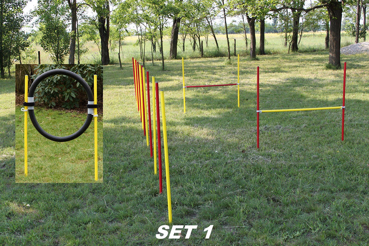 AGILITY-ÜBUNGS-ANFÄNGER-SET MIT SPRUNGRING / SLALOM / HÜRDEN