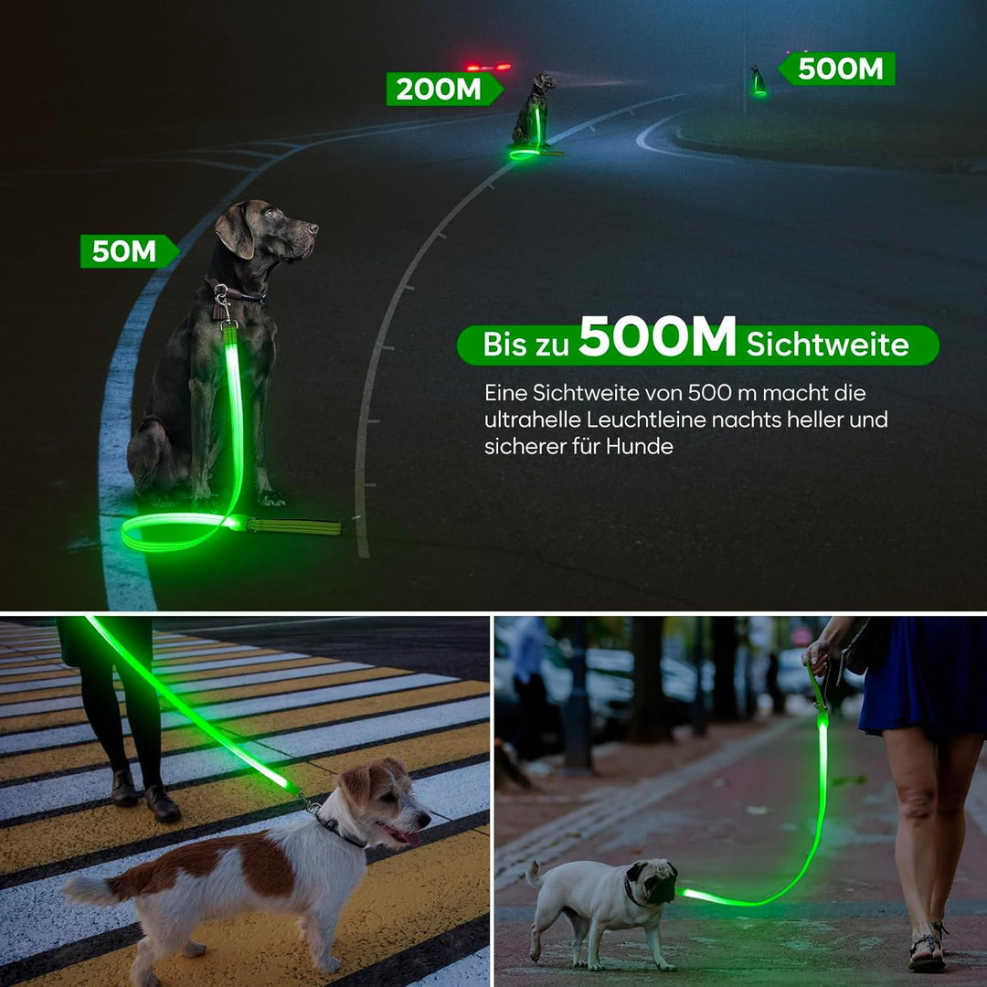 ChalkLit LED Hundeleine, Beleuchtete Hundeleine über USB Wiederaufladbar, 1,2 m, Weich Wasserdicht R