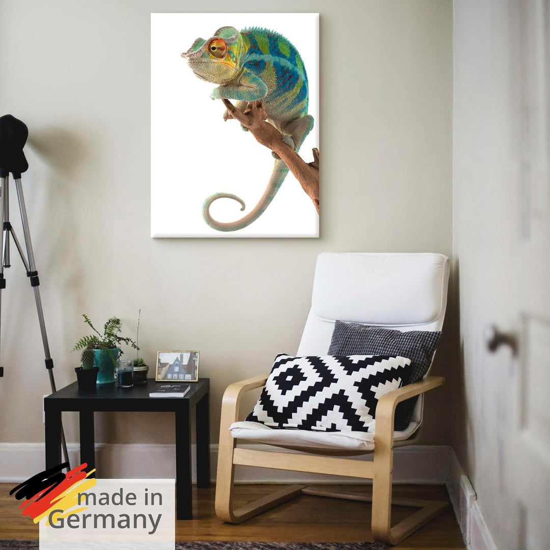 ARTland Leinwandbilder Wandbild Bild auf Leinwand 60x80 cm Tiere Reptilien Chamäleon Madagaskar Zoot