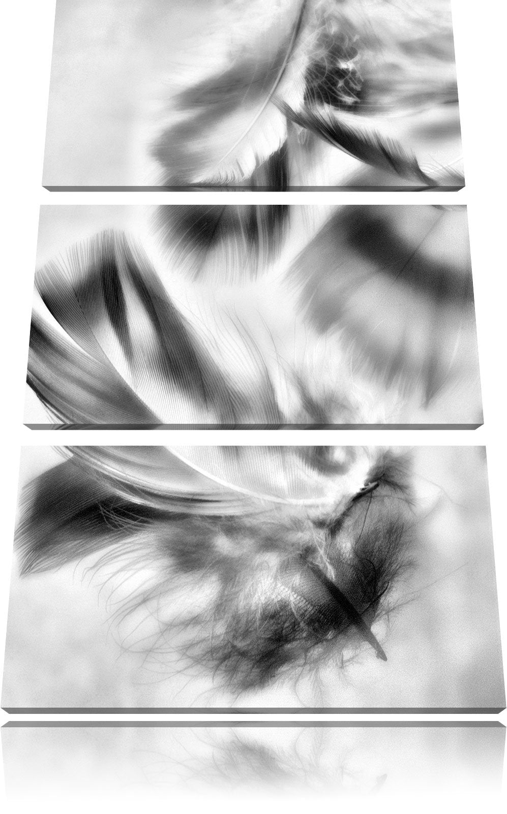 Pixxprint Weisse Feder auf schwarzem Stein als Leinwandbild/Grösse: 3 Teilig (120x80) cm/Wandbild/Ku