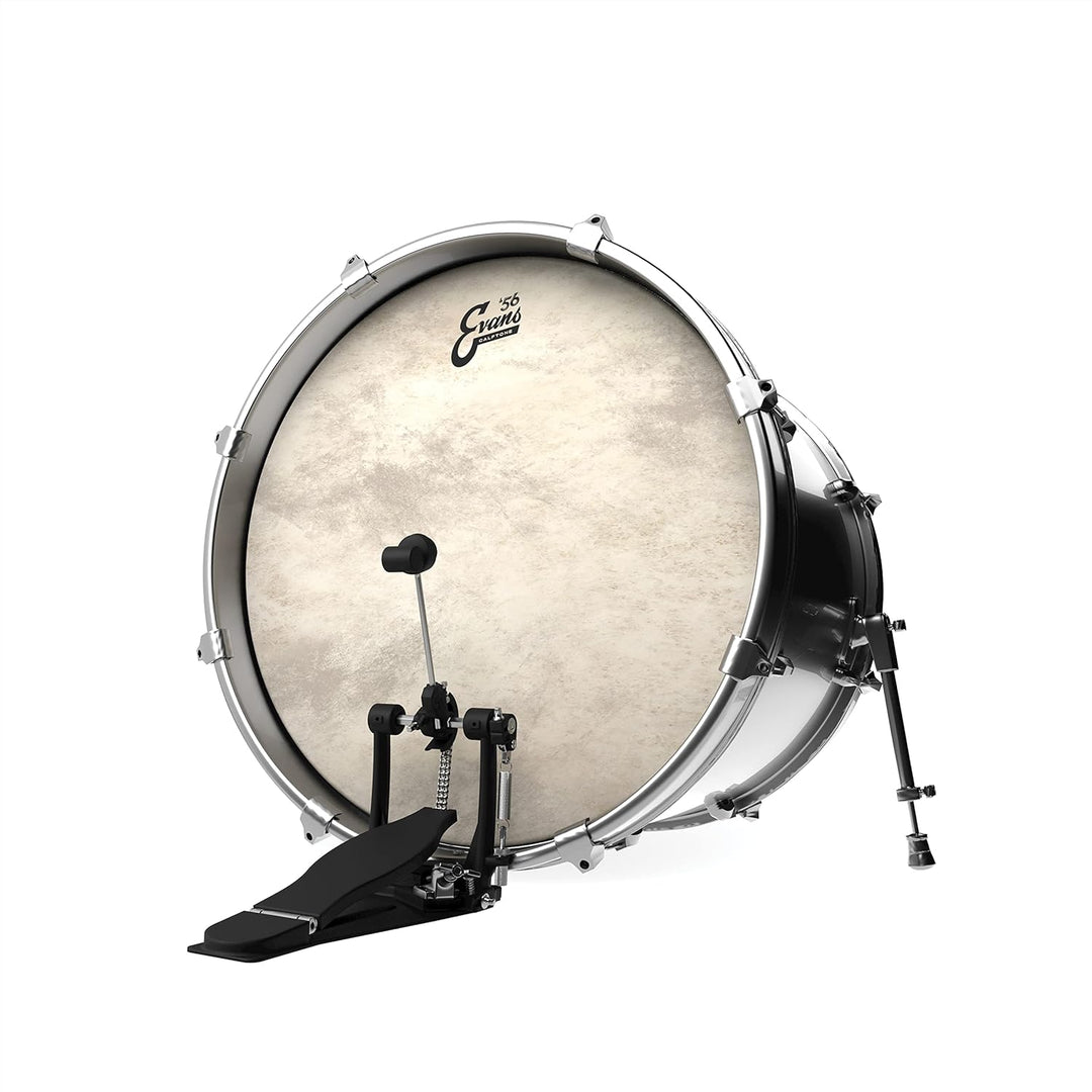 Evans BD22CT Bassdrum Fell 22 Inch, 22 Inch
