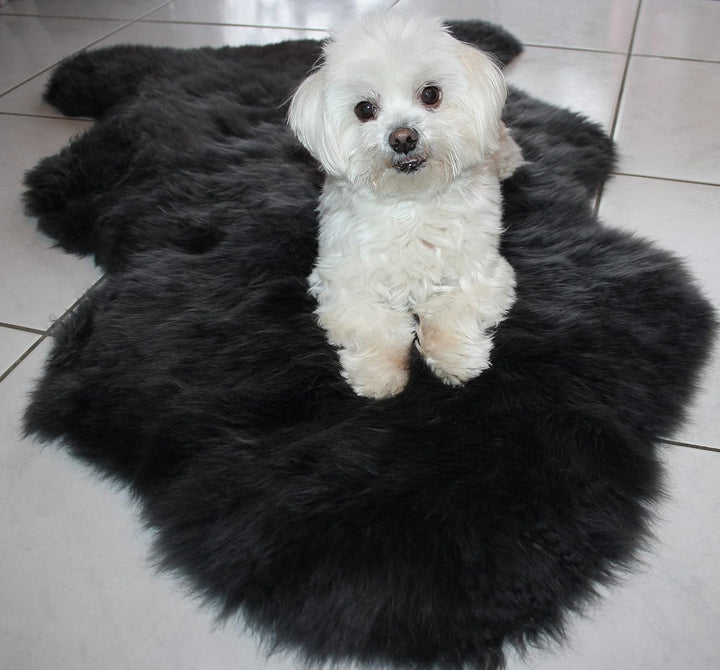 Premium Lammfell Schaffell von LANABEST. Echtes Fell mit ganz zarter Wolle. Kuschelfell, geruchsarm,