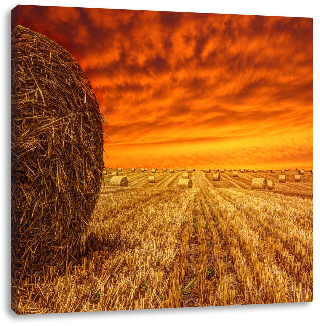 Feld im Sonnenuntergang, Format: 70x70 auf Leinwand, XXL riesige Bilder fertig gerahmt mit Keilrahme