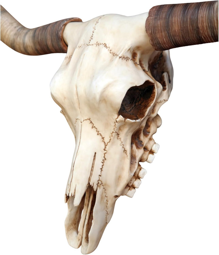 Bullenschädel Longhorn Schädel Skull Totenschädel Schädel Geweih Figur