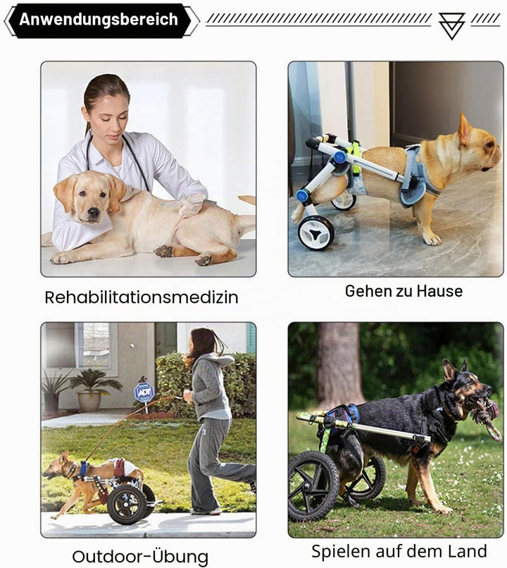 Hunderollstuhl für die Hinterbeine, Hunderollstuhlwagen, Dehnbarer Integrierter 4-Rad-Laufwagen für