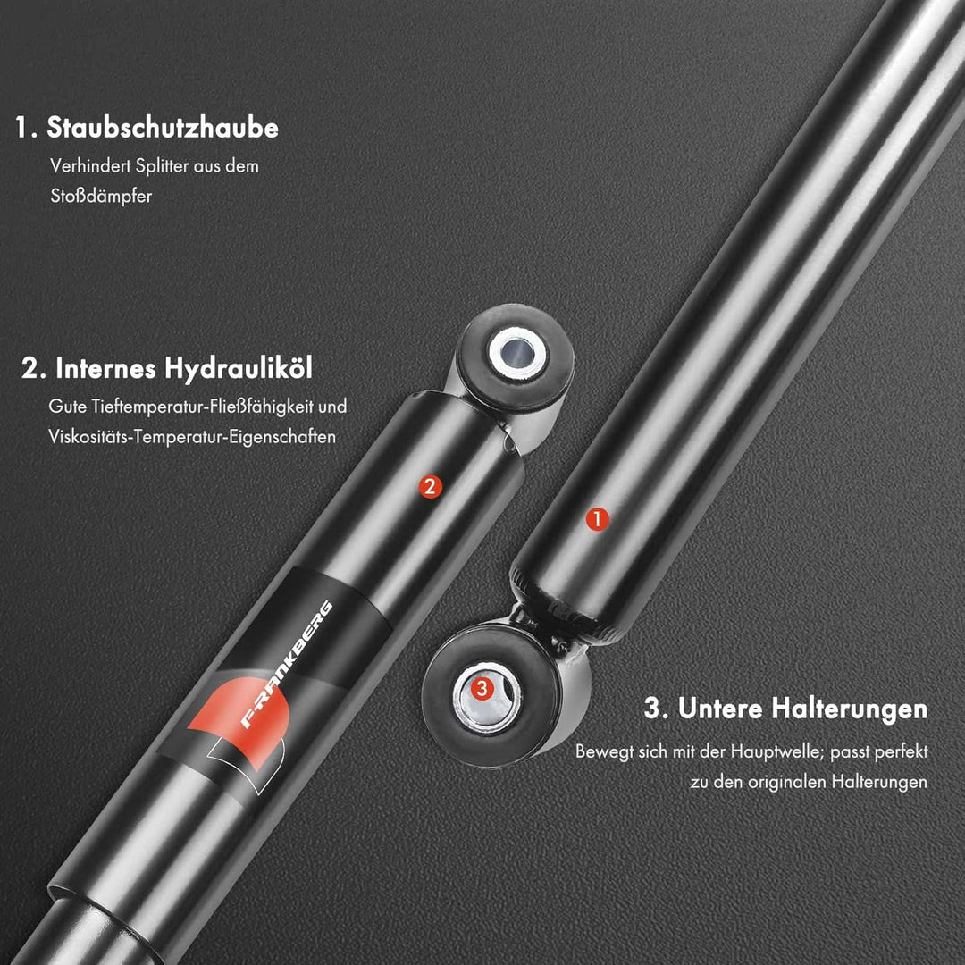 Frankberg 2x Stossdämpfer Gasdruck Hinterachse Kompatibel mit A3 8L1 1996-1999 B.o.r.a 1J2 1J6 1998-
