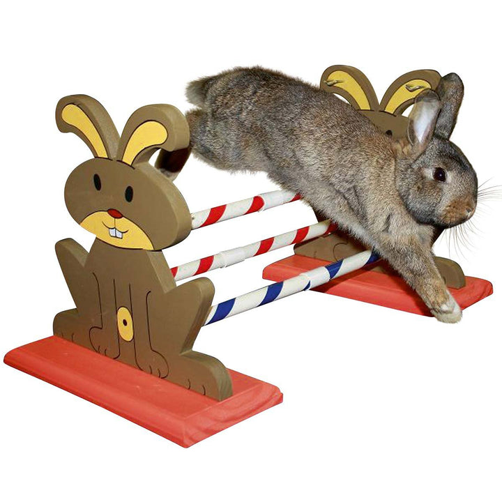 Kerbl 82855 Agility Nagerhürde, 62 x 33 x 34 cm, 1 Stück (1er Pack)