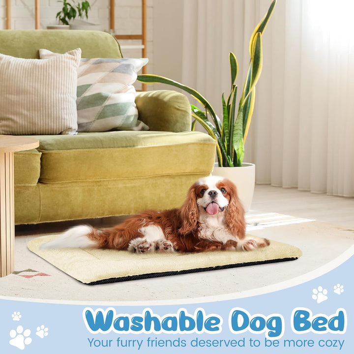 Baodan Waschbar Hundebett Mittelgrosse Hunde - 90x60 cm Hundekissen flauschig Hundedecke rutschfest