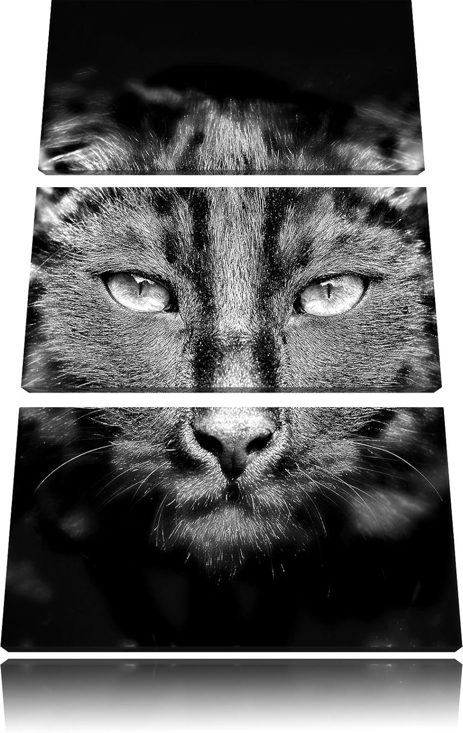 Pixxprint Monocrome, Dark schwarzes Katzengesicht 3-Teiler Leinwandbild 120x80 Bild auf Leinwand