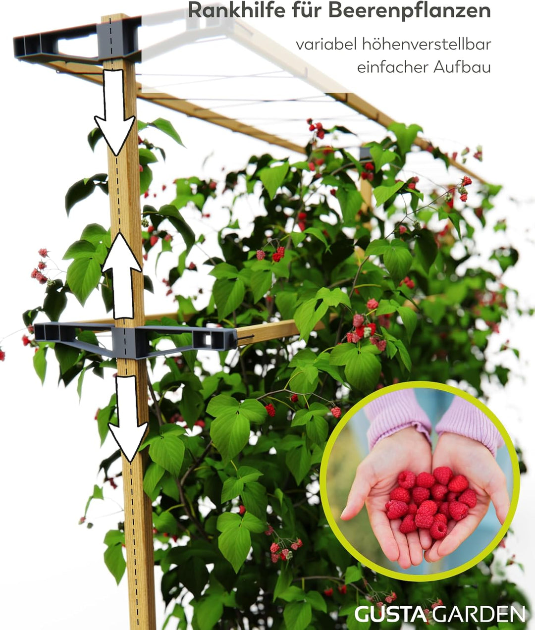 Gusta Garden Berry Buddy - Flexible Rankhilfe für Beeren: Himbeeren, Brombeeren & Heidelbeeren, erwe
