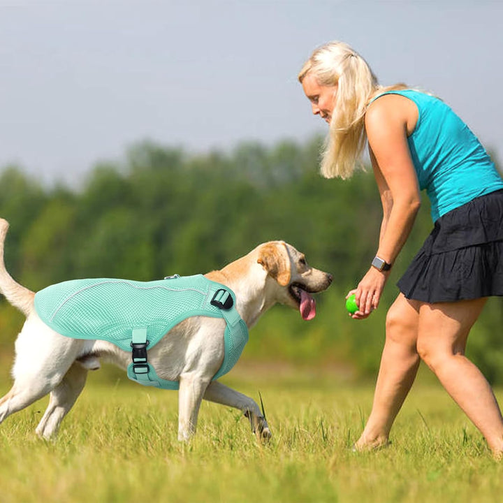 Kuoser Kühlweste Hund, Kühlweste für Hunde zur Abkühlung im Sommer, Grün L | Hunde Kühlweste atmungs
