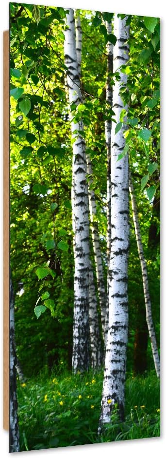Feeby Wanddeko Birken Kunst modern Bilder Natur Grün 40x120 cm M14621 40x120 cm, M14621 40x120 cm
