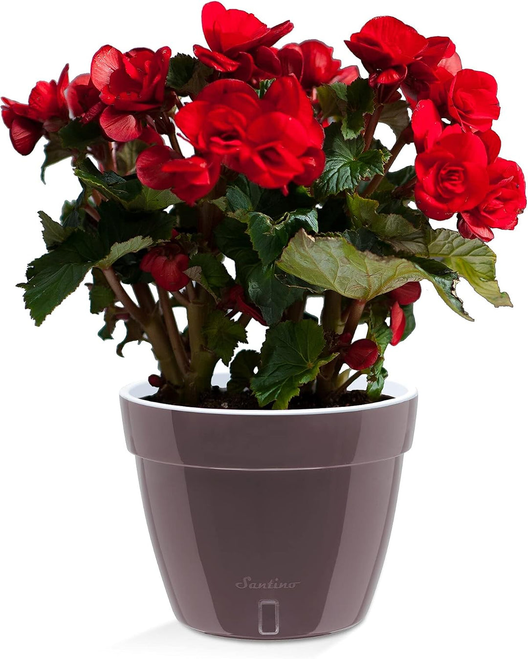 Santino ASTI 27CM Selbstwässernder Blumentopf mit Wasserstandsanzeiger - Rund Premium Qualität Innen